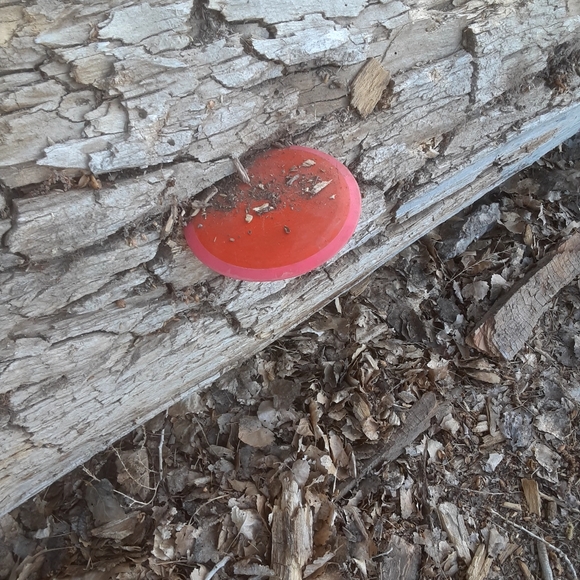 Meet your Posher, Sam. Hot wheels, collectibles, artwork, clothing and more. - Picture 9 of 12